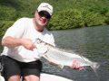 Local Tarpon In Ft Myers